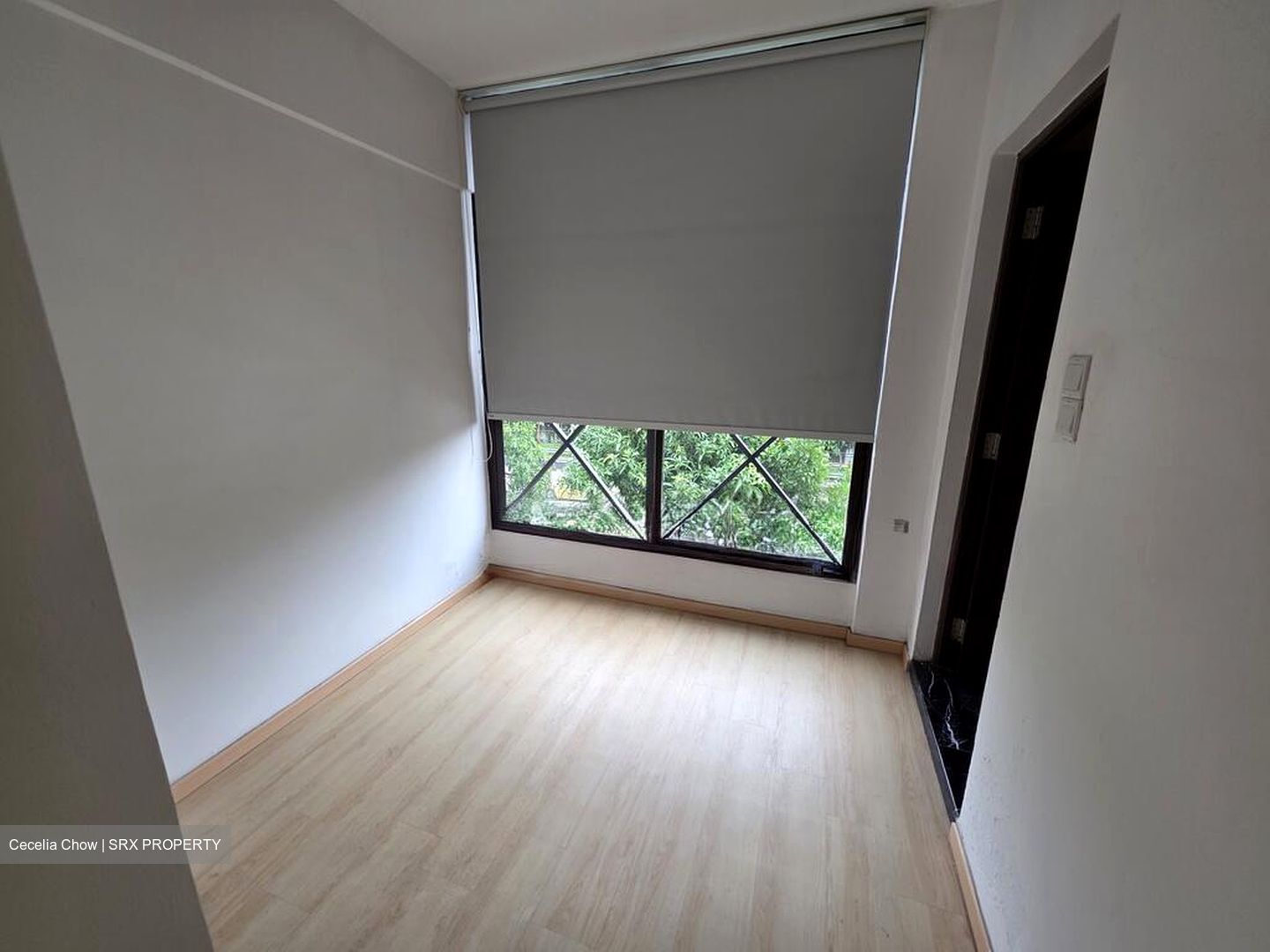 Bukit Timah Road (D21), Apartment #551260381